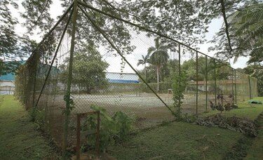 Las canchas olvidadas