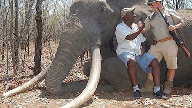 Cazador alemán mata a un elefante, ‘tesoro nacional’ de Zimbabue