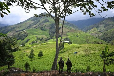 Cuáles son y cuánto poder tienen los dos grupos de las disidencias de las FARC señalados como responsables de los atentados en Colombia