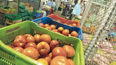 Exigen vigilar el contrabando agropecuario
