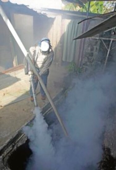 Siete muertos por epidemia de dengue