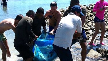Rescatan un delfín herido en isla Iguana, Los Santos