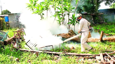 Operativos contra el dengue en la frontera