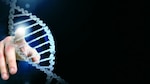 Impulso de la ciencia