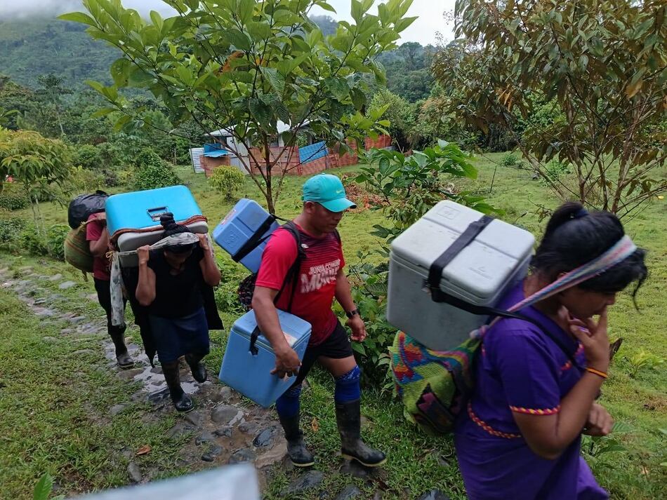 Minsa afirma que el brote de tosferina en la comarca Ngäbe Buglé está  ‘contenido’