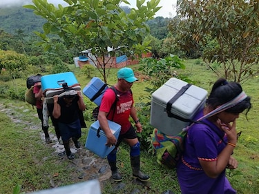 Minsa afirma que el brote de tosferina en la comarca Ngäbe Buglé está ‘contenido’