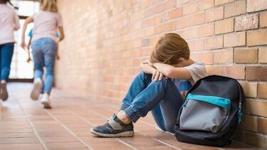 El alcance del ‘bullying’