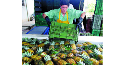 Lecciones para ingresar a China