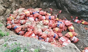 Multa de $250 mil por vender cebolla importada vencida