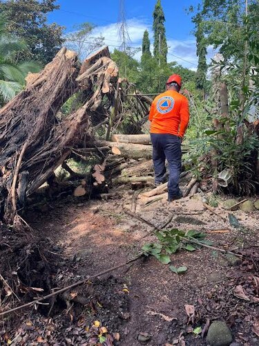 Más de 30 emergencias atendidas por lluvias en todo el país