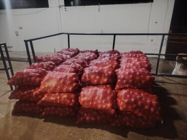 Por qué un cargamento de cebolla importada provocó un tranque y reabrió disputa comercial