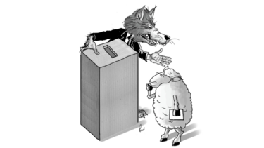 Los coyotes no podrán con la juventud y ternura del votante