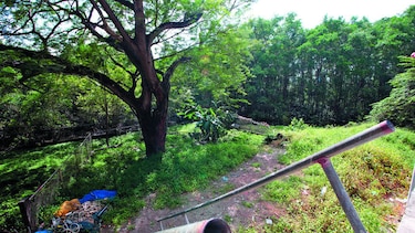 Disputan finca en Coco del Mar