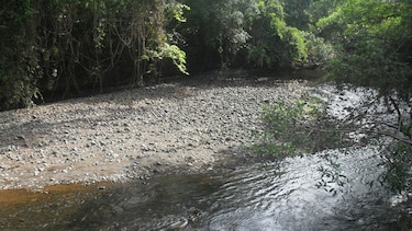 Rápido descenso de fuentes superficiales de agua en Los Santos