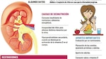 Lesión renal
