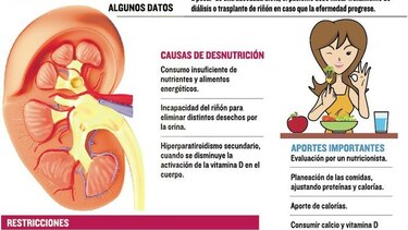 Lesión renal