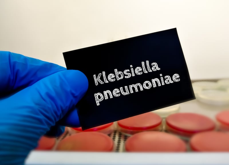 Estudio identifica siete nuevos perfiles genéticos de ‘Klebsiella’ en Panamá