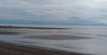 Video: rescatan al piloto de una avioneta que cayó al mar en Guararé