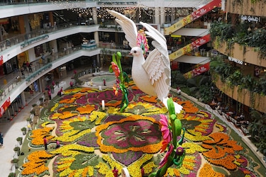 Una paloma gigante adorna a Medellín en el tapete de flores naturales más grande del mundo