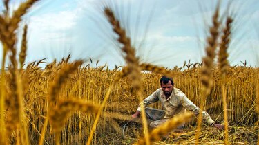 Respaldan a los agricultores