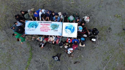 Lanzan temporada de Tortugas Marinas 2026 en el Humedal San San Pond Sak