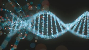 Científicos señalan datos preocupantes sobre bebés modificados genéticamente