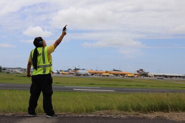 Aeropuerto de Tocumen emite alerta por el paso de aves migratorias