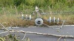 Fuertes vientos en Chiriquí provocan caída de árboles y voladuras de techos