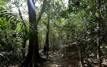 MiAmbiente da a a conocer horarios para visitas a las áreas protegidas