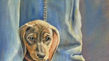 Fauna, al lienzo