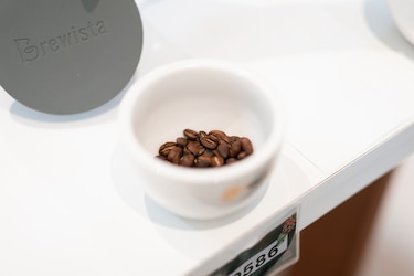Los reyes del café geisha: estos fueron los ganadores del Best of Panamá 2026