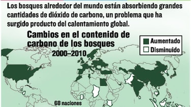La caída de los árboles