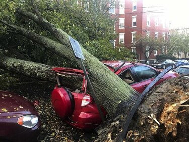 Tormenta deja a miles de personas sin electricidad en Estados Unidos