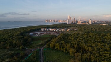  Los humedales de Panamá y el rol ciudadano  