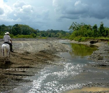 Denuncian falta de agua en fincas de Los Santos
