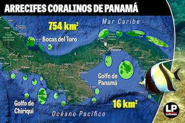 Lo que está en juego con la ley de Benicio Robinson que debilita la protección de los arrecifes coralinos