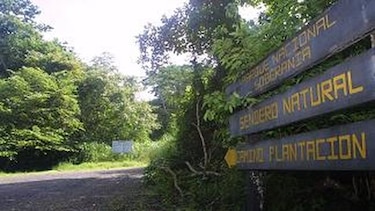 Ciclistas limpiarán el Camino de la Plantación