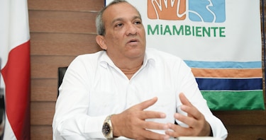 En la mira, los permisos de aprovechamiento forestal 