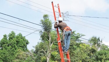 Apagones por falta de poda: ASEP
