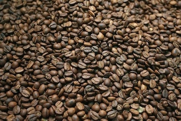 Calentamiento global pone en peligro producción de café latinoamericano