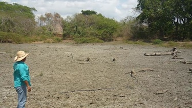 Ganaderos de Los Santos advierten que se terminan las reservas de agua