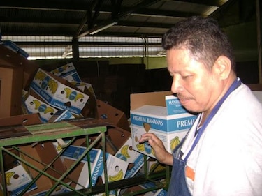 Decreto anula Coosemupar y permite inversión en Barú