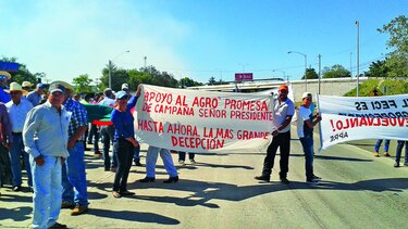 Arroceros presionan en las calles