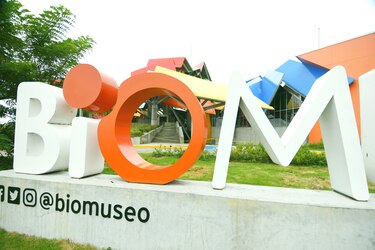 El Biomuseo reabrirá sus puertas el 7 de noviembre