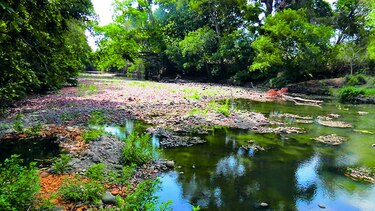 Limitan el suministro de agua en el área oeste