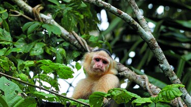 Agrupaciones por el ambiente
