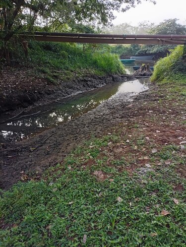 La contaminación del río San Pablo en Soná