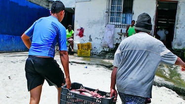 Manejo ambiental, un reto del país