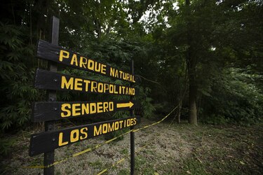 Ministerio de Ambiente anuncia cierre de áreas protegidas durante la cuarentena total