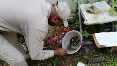 Minsa reporta 4 mil 887 casos de dengue en todo el territorio nacional